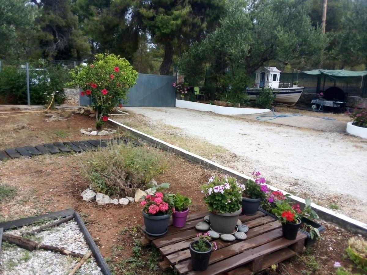 Semesterbostad Anna's Garden House Chania (Crete)